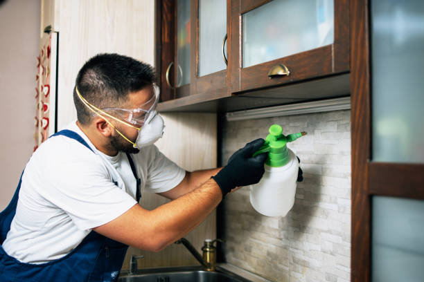 Best Best Pest Control Companies  in Fox Lake, WI