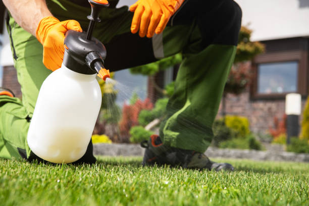 Best Best Pest Control Companies  in Fox Lake, WI