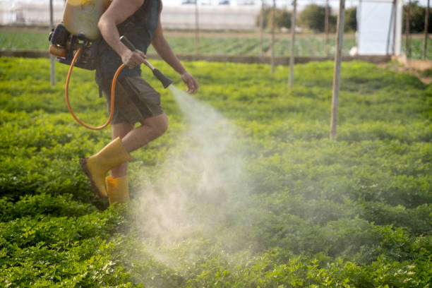 Best Local Pest Control Services  in Fox Lake, WI