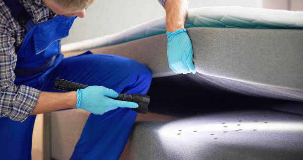 Best Rat Extermination Near Me  in Fox Lake, WI