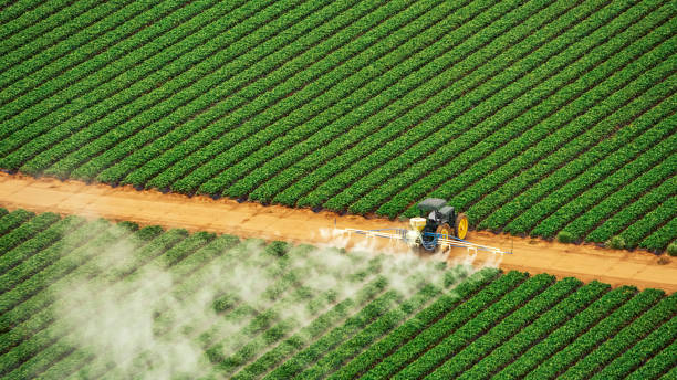 Best Mosquito Control Services  in Fox Lake, WI