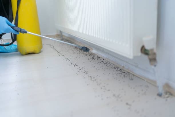 Best Affordable Pest Control Services  in Fox Lake, WI
